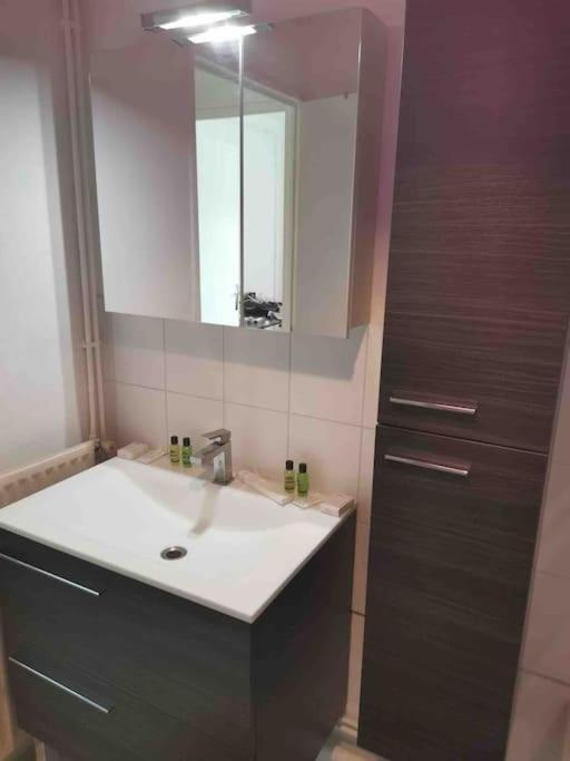 Charmant Appartement Au Calme Bourg-en-Bresse Exterior foto